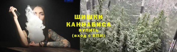 мдпв Бугульма