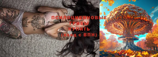 ECSTASY Верхний Тагил