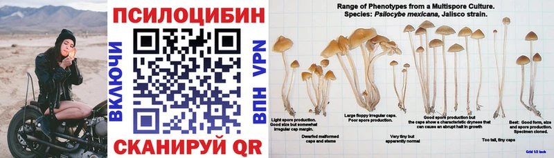 Псилоцибиновые грибы Cubensis  Полтавская 
